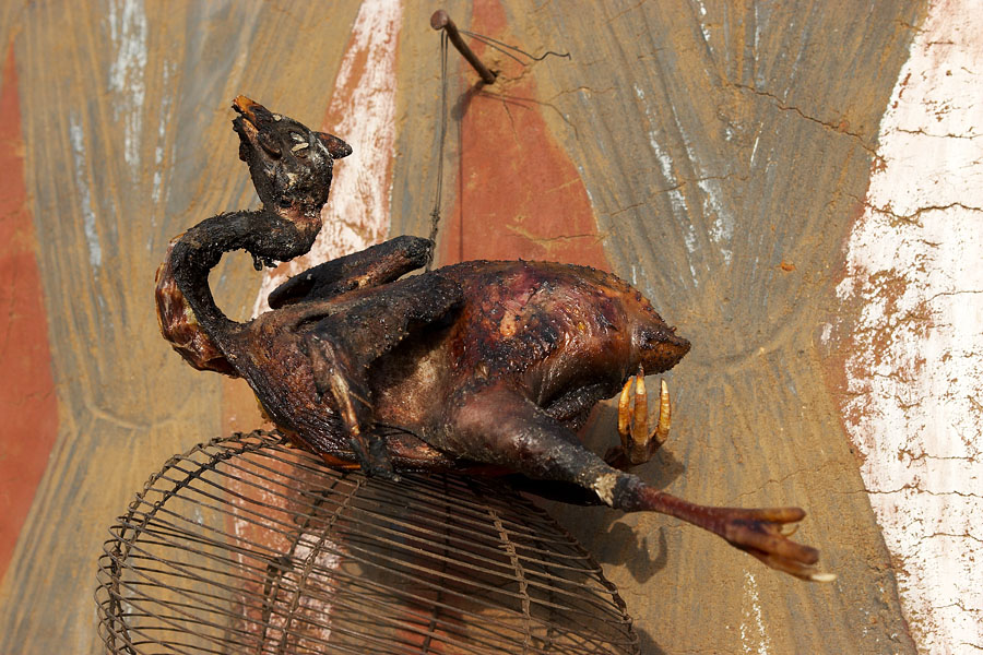 311   Sunbathing chicken waiting for diner   Sirigu